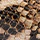 Betty Snake Print Ballet Flats - Image 7