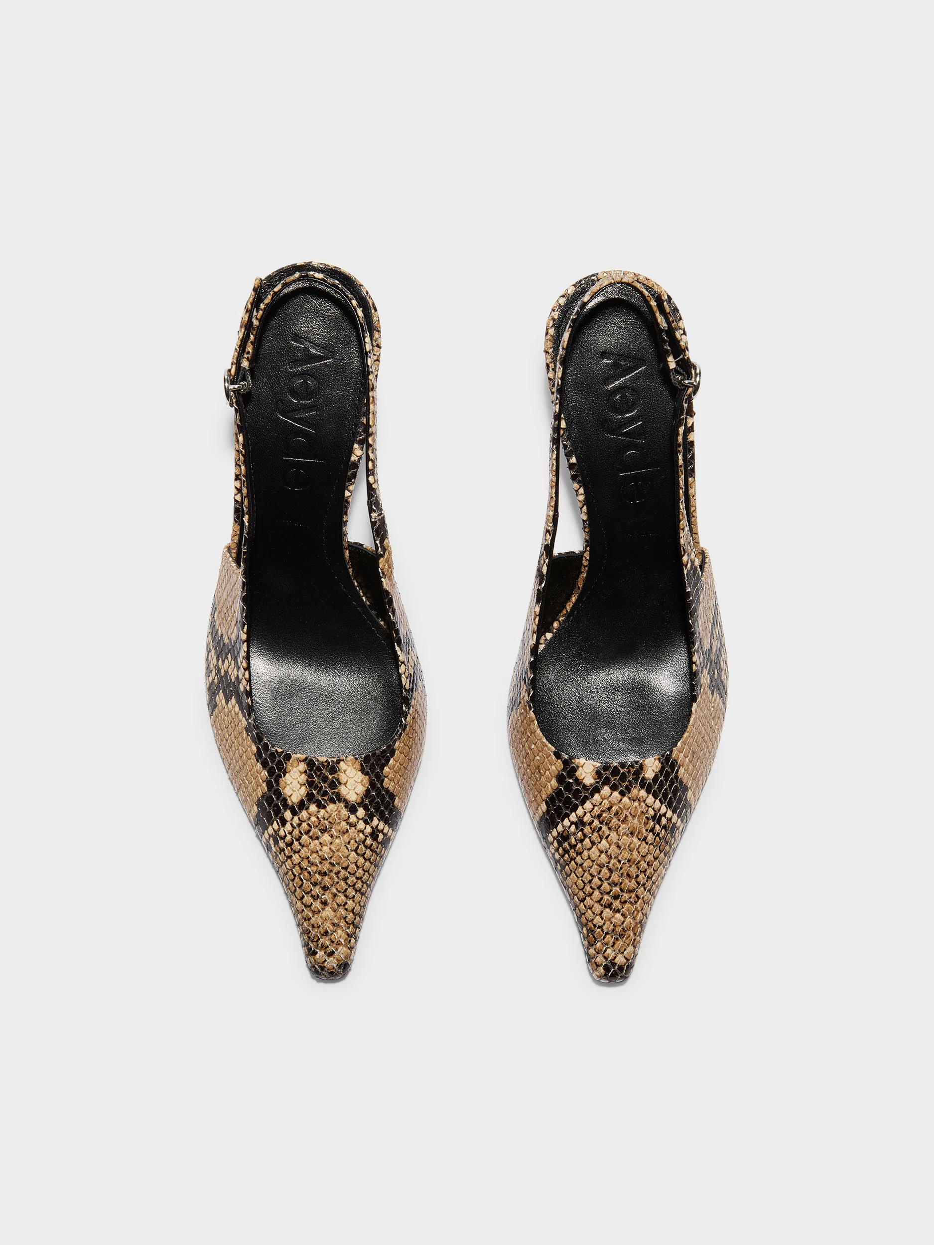 Fernanda Snake Print Pumps - Image 5